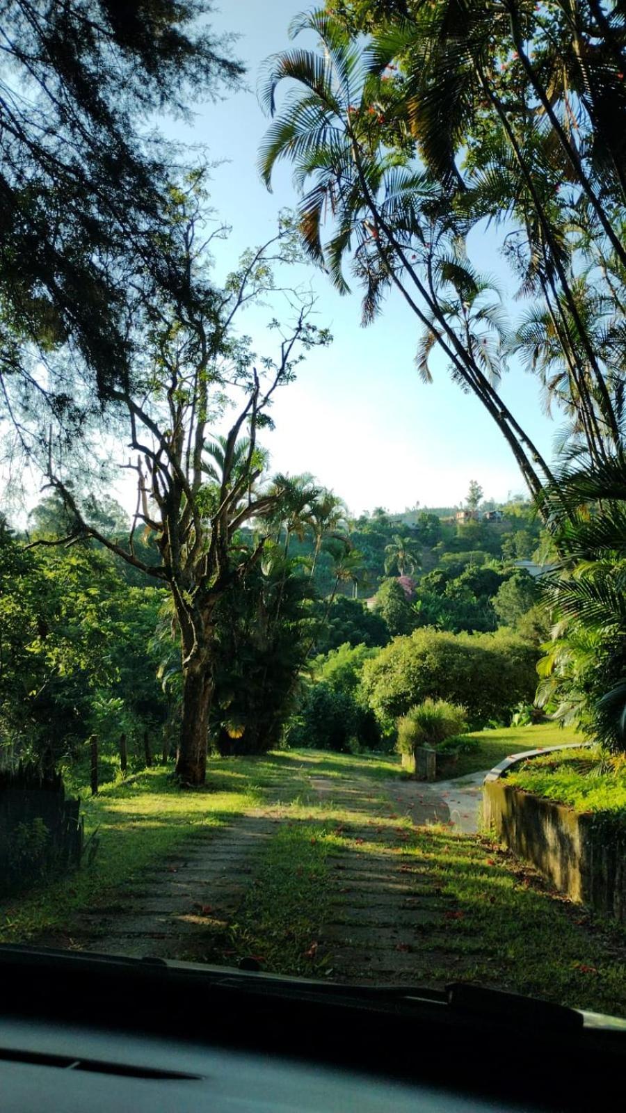 Campo Dos Sonhos 3*