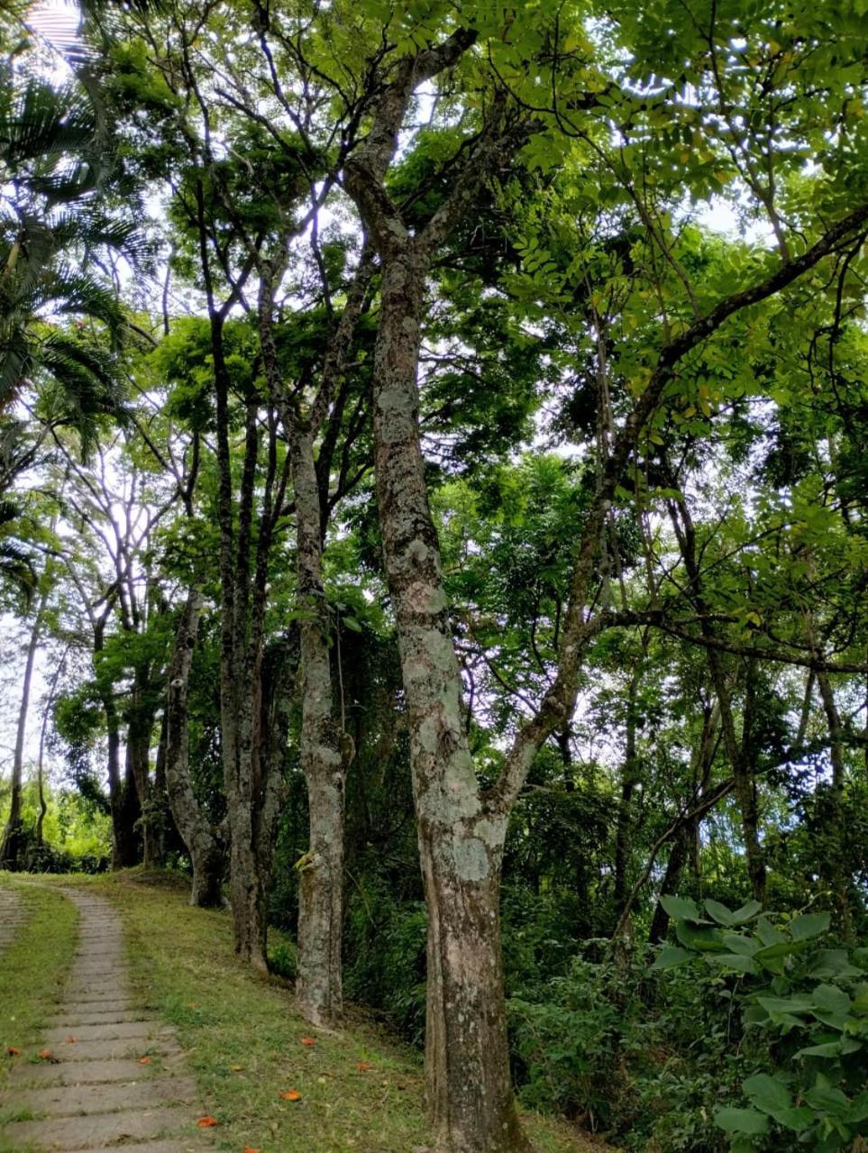 Campo Dos Sonhos